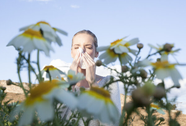 Чихание в цветочном лугу
