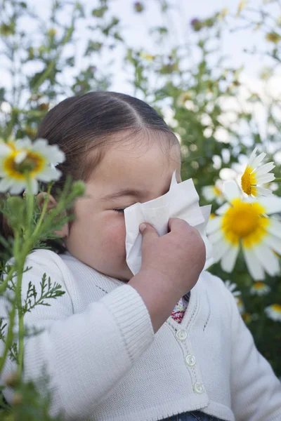 Barn girl nysningar i en daisy blommor — Stockfoto