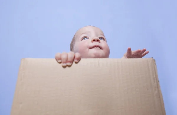 Bébé garçon jouant dans la boîte en carton — Photo