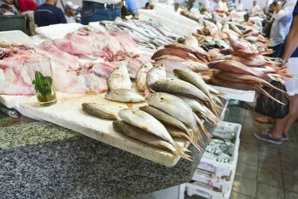 Рыбный рынок Танжер, Марокко — стоковое фото