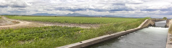 Irrigatie kanaal stroomt over de vruchtbare weiden van hoge Guadiana — Stockfoto