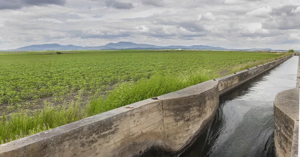 Bevattning canal flödar över de bördiga ängarna av hög Guadiana — Stockfoto