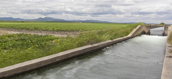 Irrigatie kanaal stroomt over de vruchtbare weiden van hoge Guadiana — Stockfoto