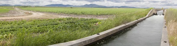 Canal de riego fluye sobre las fértiles praderas del Alto Guadiana —  Fotos de Stock