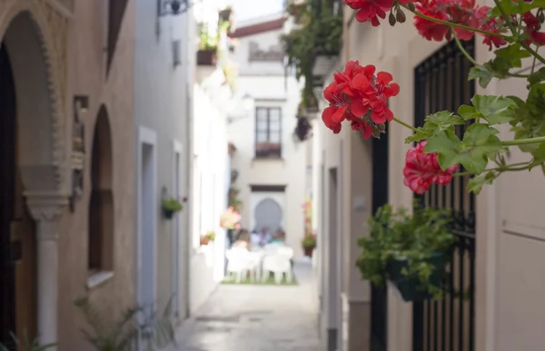 Rue étroite de la vieille ville de Badajoz — Photo