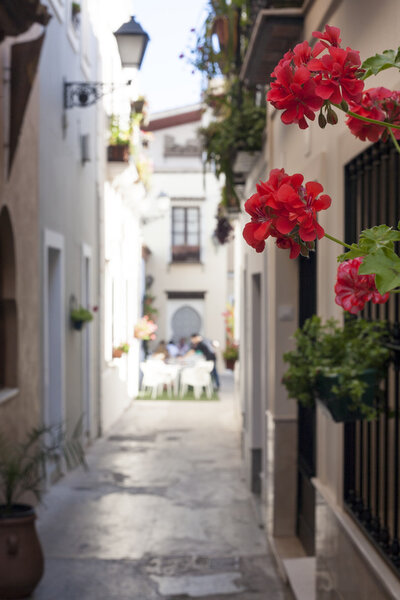 Narrow old town street of Badajoz with flowers and terrace at the bottom decorated as Al-andalus style