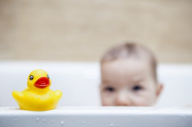 Rubber duck over the bathtube clipart