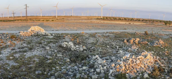 干旱区景观的风力涡轮机 — 图库照片