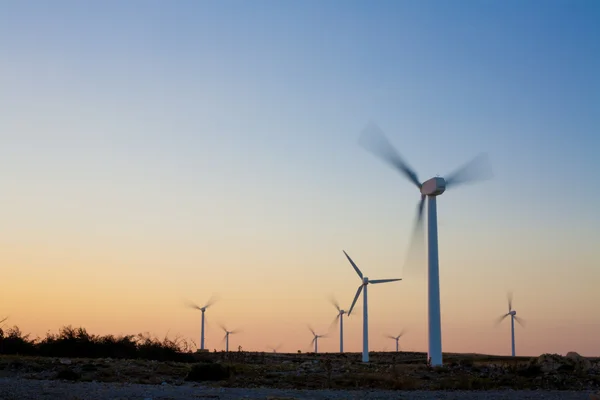 Vindkraftparken elektriska turbiner med solnedgången ljus på torra landskap — Stockfoto