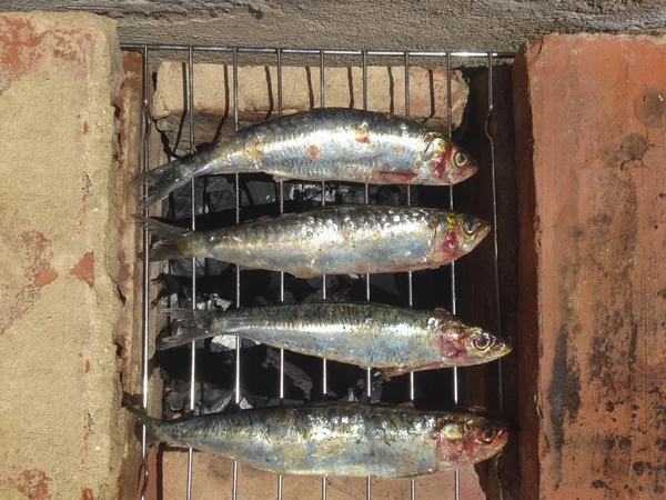传统红砖烤沙丁鱼 — 图库照片
