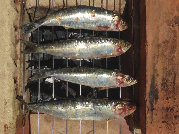 Geleneksel kırmızı tuğla barbacue içinde pişmiş ızgara sardalya — Stok fotoğraf