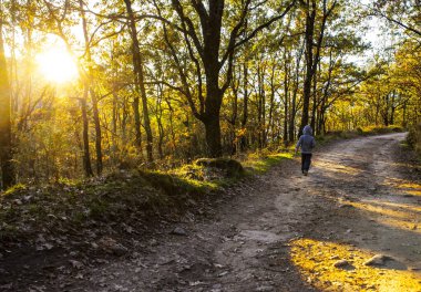 Taş kaldırım orman yolunda tek başına yürüyen çocuk. Çocuklar için sosyal tecrit kavramı