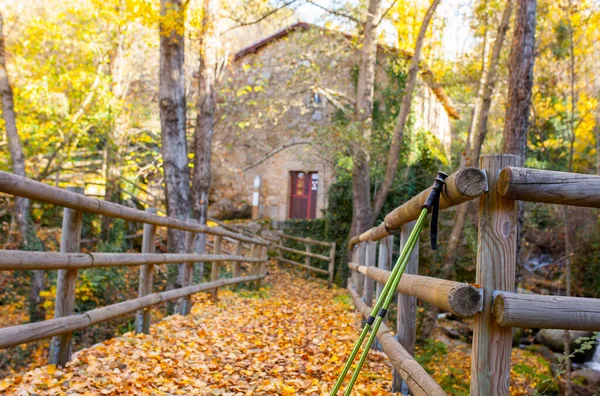 Wandelpalen Bij Oude Watermolen Banos Montemayor Magische Herfst Van Ambroz — Stockfoto