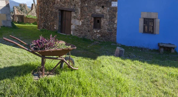 Old Rusty Handbarrow Reused Planter Granadilla Village Town Square Medieval — Stock Photo, Image