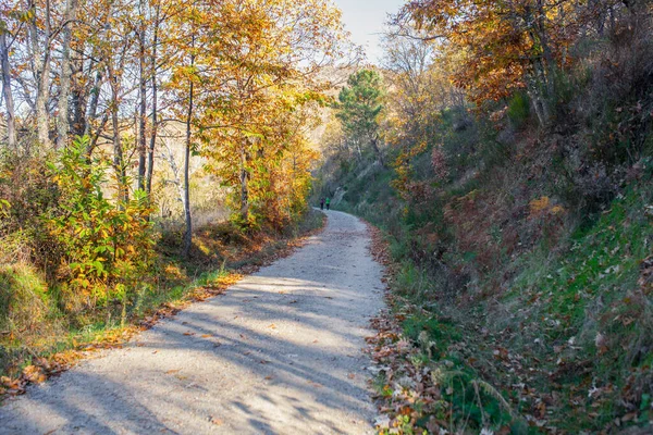 Los Caminantes Disfrutan Green Way Itinerario Banos Montemayor Temporada Otoño — Foto de Stock