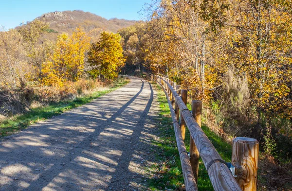 Groene Route Door Banos Montemayor Magic Autumn Season Extremadura Spanje — Stockfoto