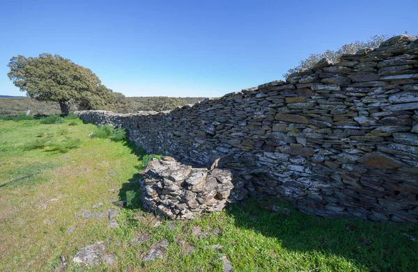 Stanowisko Archeologiczne Tamusia Botija Caceres Extremadura Główna Ściana Zachodnia Hispano — Zdjęcie stockowe