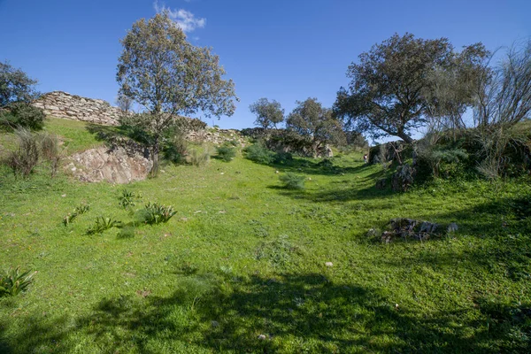 Site Archéologique Tamusia Botija Caceres Estrémadure Des Douves Hillfort Hispano — Photo