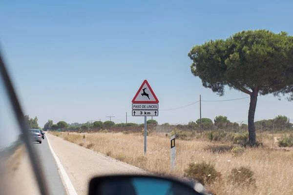 Metal Pole Traffic Signal Warning Iberian Lynx Crossing — Stock Photo, Image