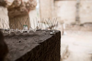 Tarihi binanın köşesine itici metal çiviler yerleştirilmiş. Mimari Miras İçin Kuş Kontrol Konsepti