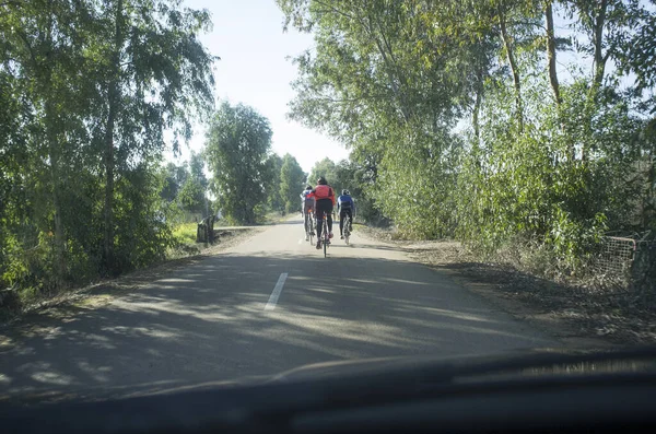 Driving Slowly Cyclists Country Wooded Road View Car — Φωτογραφία Αρχείου