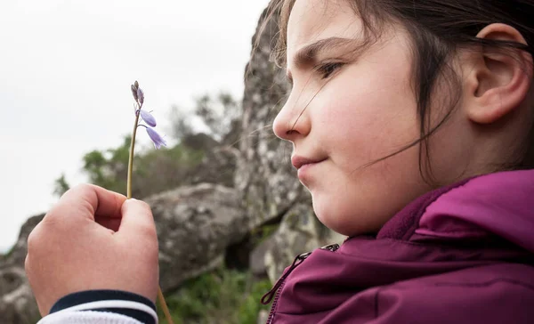 Child Girl Observing Little Wild Flower Botany Inquisitive Children Concept — Stok fotoğraf