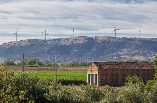 Tobacco Drying House Electric Wind Turbines Bottom Carcaboso Countryside Caceres — Stock Photo, Image