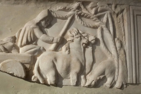 ポルトガルのリスボン 2020年3月1日 牛がカートを引く 石棺の凍結 ポルトガルのリスボン国立考古学博物館 — ストック写真