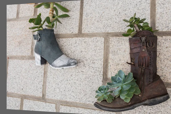 Sapatos Velhos Reutilizados Como Vaso Flores Anexados Parede Exterior Idéias — Fotografia de Stock