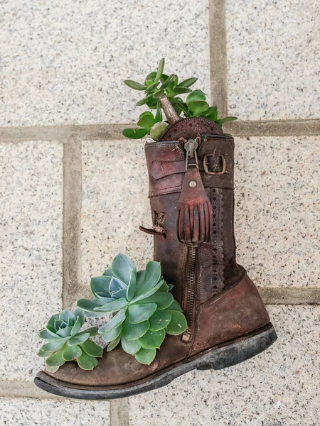 Sapatos Velhos Reutilizados Como Vaso Flores Anexados Parede Exterior Idéias — Fotografia de Stock