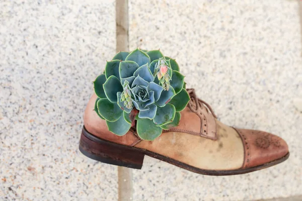 Sapatos Velhos Reutilizados Como Vaso Flores Anexados Parede Exterior Idéias — Fotografia de Stock