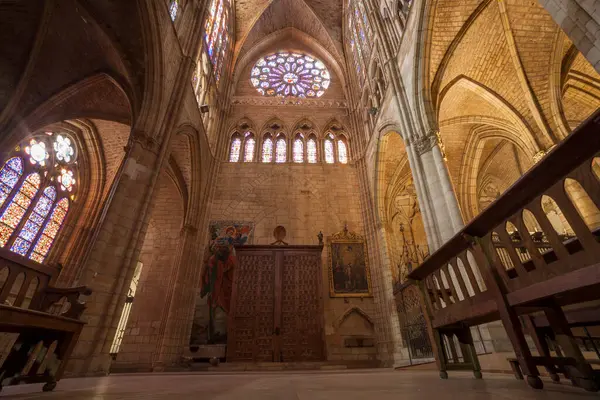 Leon Spanje Juni 2019 Leon Cathedral Side Nave Ook Wel — Stockfoto