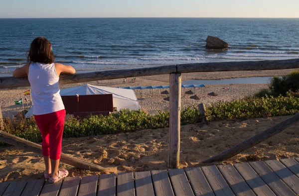 Ein Kleines Mädchen Beobachtet Den Strand Von Donana Vom Holzsteg — Stockfoto