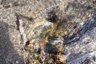 Kristal berraklığında bir dağ deresinde küçük bir girdap. Yakın çekim.