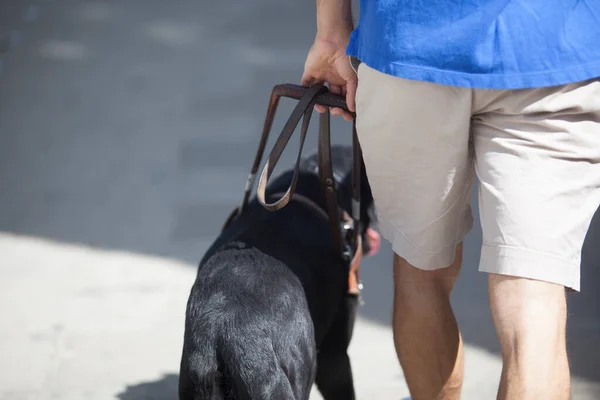 Jovem Cego Caminhando Com Guia Cachorro Preto Foco Seletivo — Fotografia de Stock