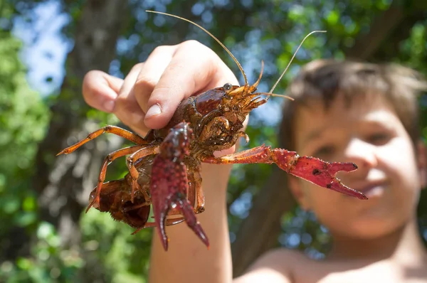 Petit Garçon Montre Dernière Capture Une Écrevisse Eau Douce Vacances — Photo