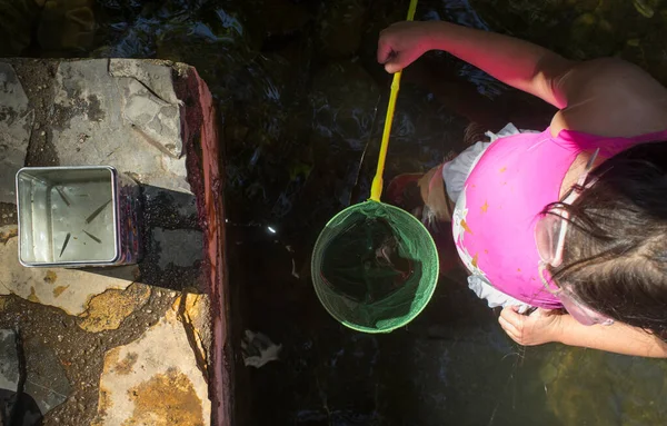 Küçük Kız Balık Ağıyla Balık Tutuyor Çocukların Çılgın Bir Konsepte — Stok fotoğraf
