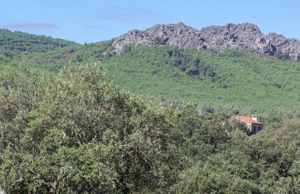 Maison Campagne Milieu Forêt Méditerranéenne Sierra Fria Valencia Alcantara Caceres — Photo