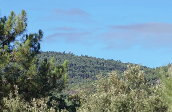 Sierra Fria Ormanındaki Yangın Gözetleme Kulesi Valencia Alcantara Caceres Extremadura — Stok fotoğraf