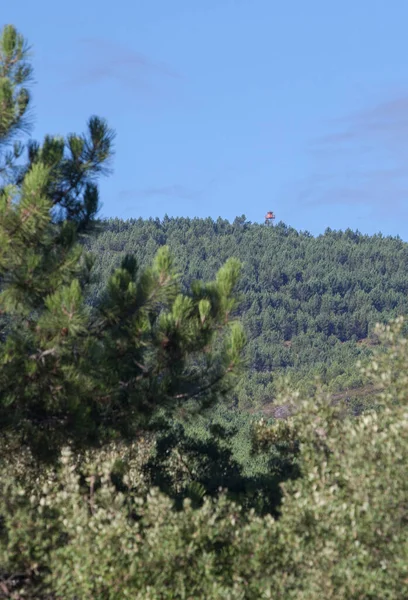 Torre Vigia Incêndio Floresta Sierra Fria Valencia Alcantara Cáceres Extremadura — Fotografia de Stock