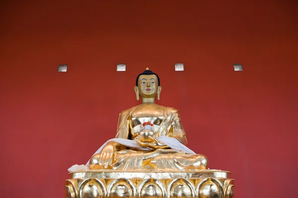 Buddha képek — Stock Fotó