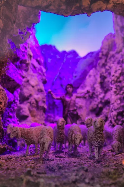 Sheeps in the cave — Stock Photo, Image