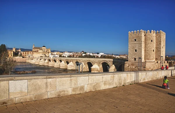 Calahorra torony, és római híd — Stock Fotó