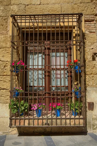 Flowerpots window — Stock Photo, Image