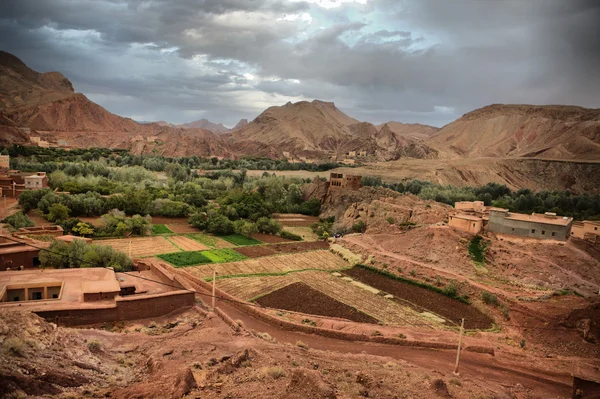 Dades valley farms — Stock Photo, Image