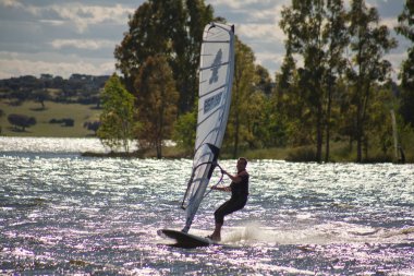 Windsurf ve Okaliptüs ağacı