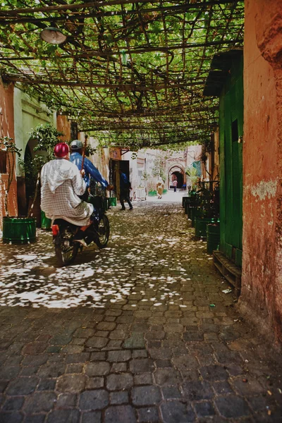 Calle de la vid entrenada — Foto de Stock