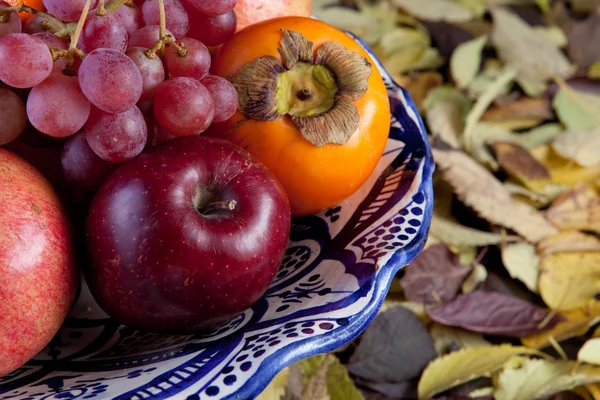 Still life with autumn fruits over dry leaves surface — Stock Photo, Image