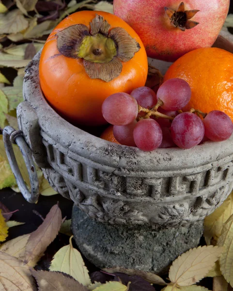 Grego tigela de frutas intemperadas — Fotografia de Stock