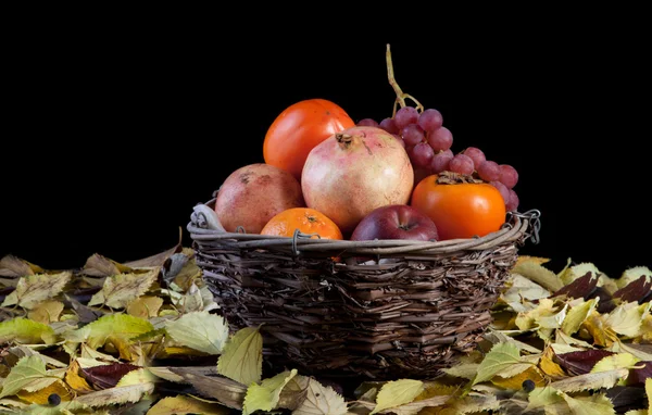 Basket full of autumn fruits — Stock Photo, Image